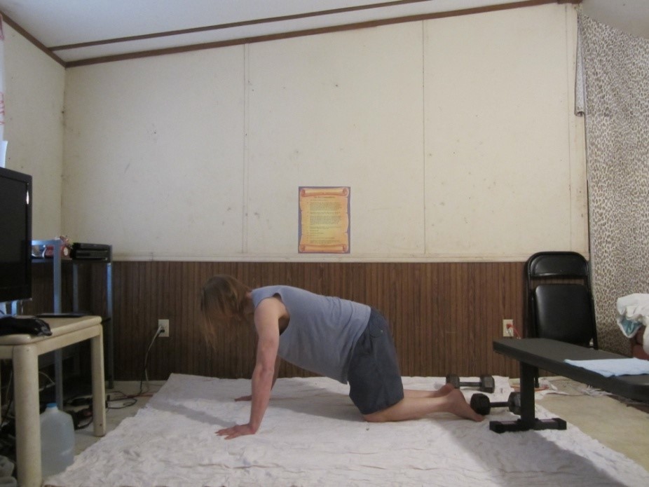 Bent knee push up picture demonstrating the end of the repetition from a side viewpoint.