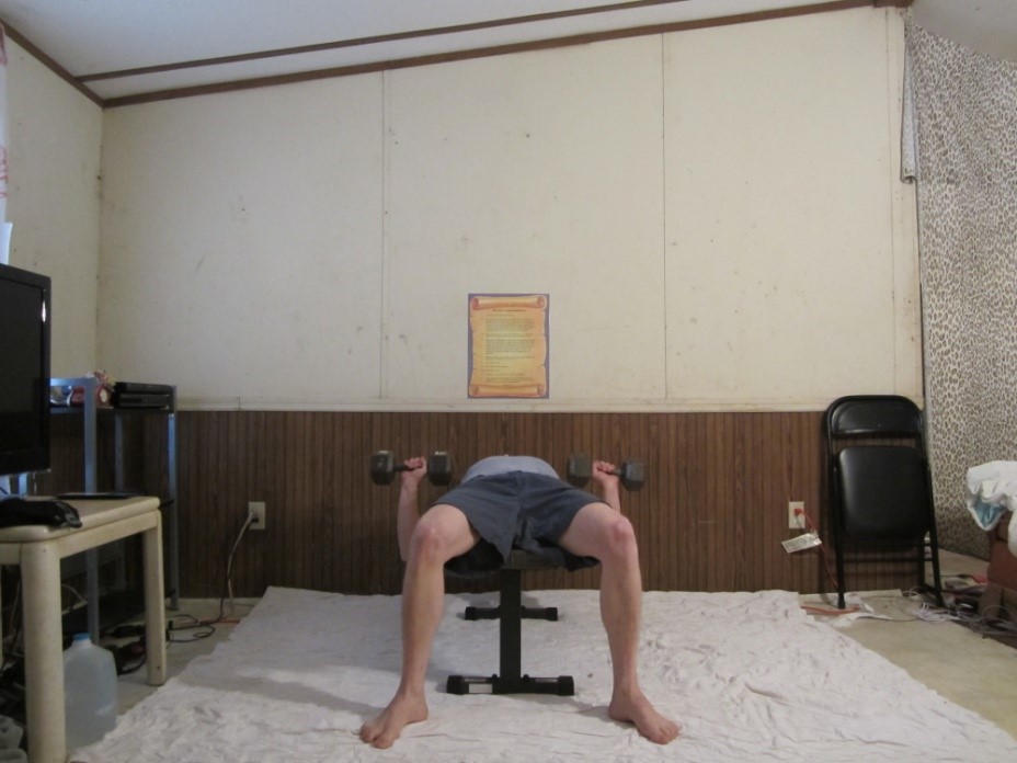 Dumbbell bench press picture demonstrating the beginning of the repetition from a front viewpoint.